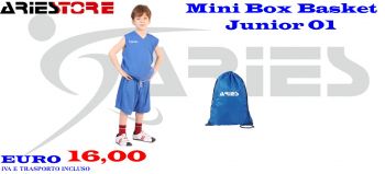 Mini box basket 01 Junior Aries